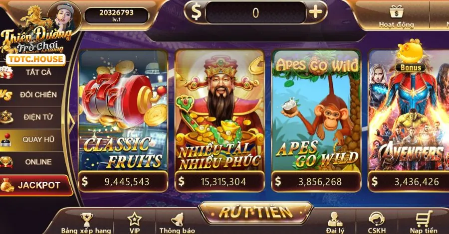 Giấy Phép Hoạt Động